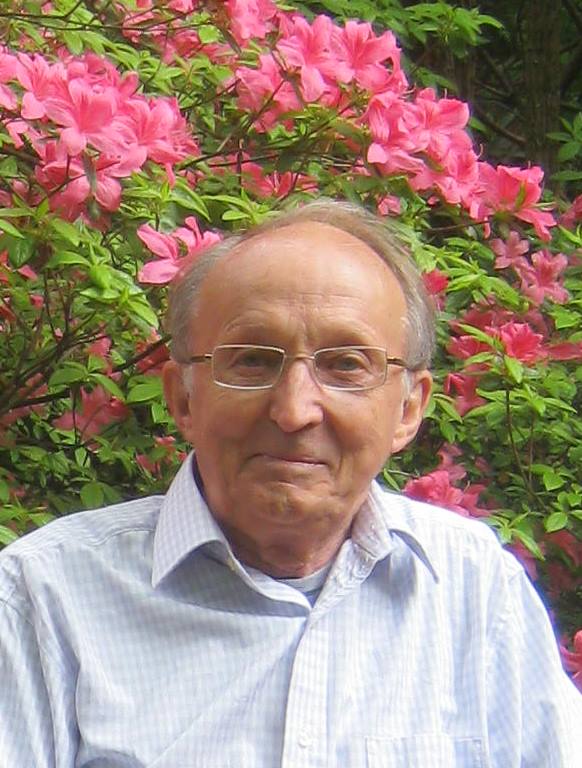 Professor John F.A. Sawyer